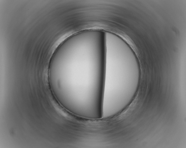 X0000113590850200909181046