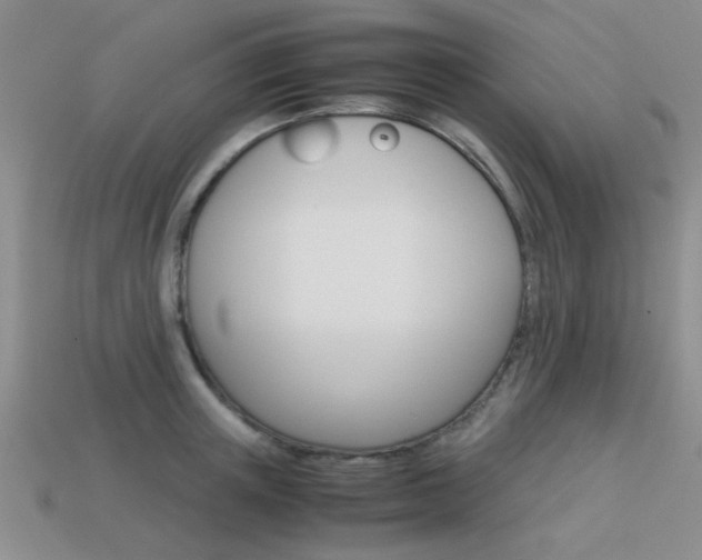 X0000113590851200909181046