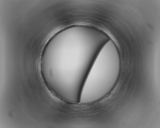 X0000113590853200909181046