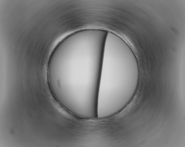 X0000113590854200909181046