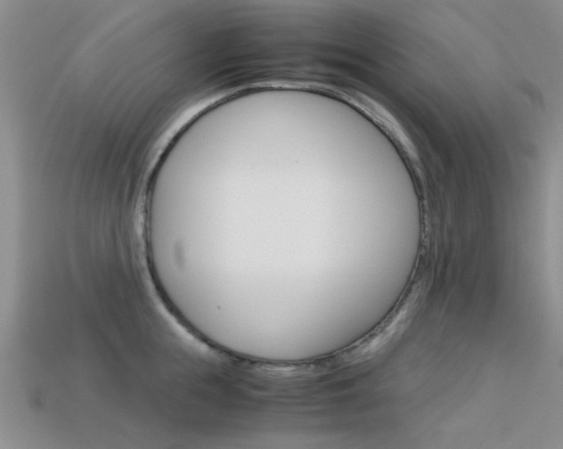 X0000113590855200909181046