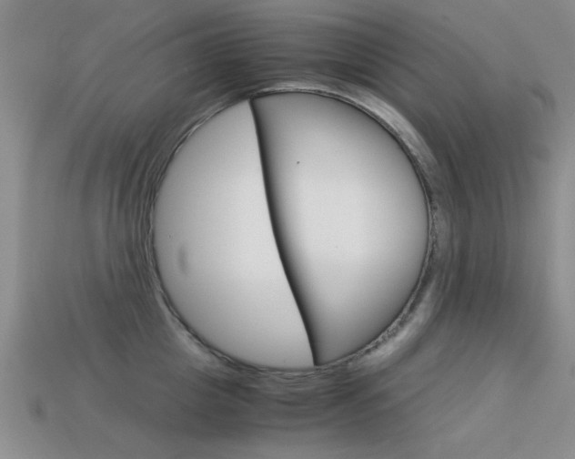 X0000113590857200909181046