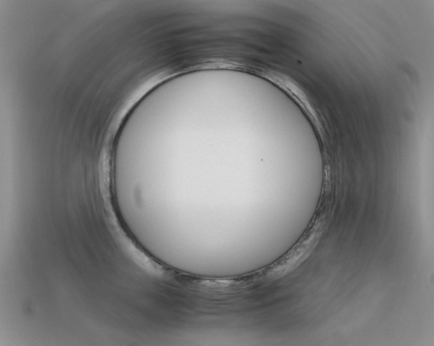 X0000113590859200909181046