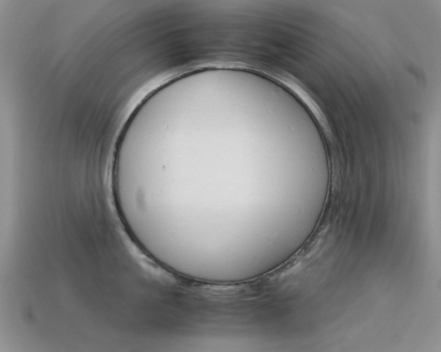 X0000113590861200909181046