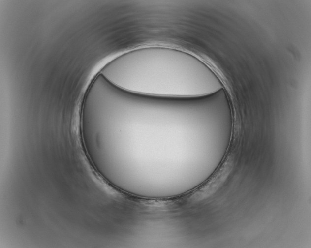 X0000113590862200909181047