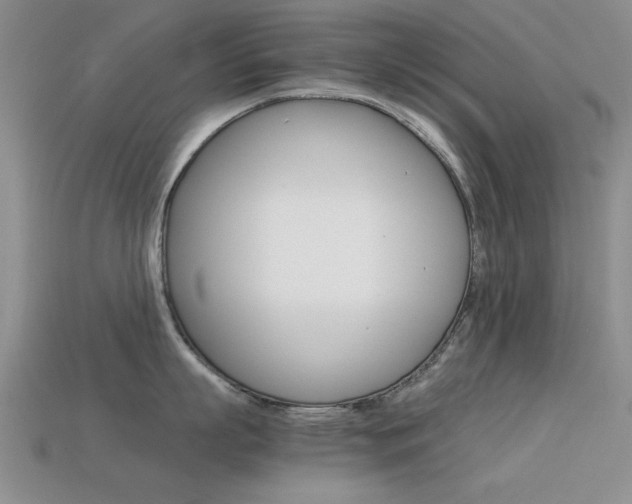 X0000113590863200909181047