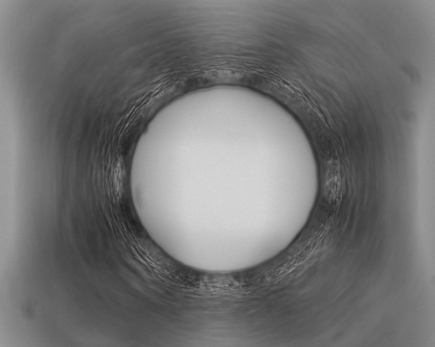 X0000113590866200909181046