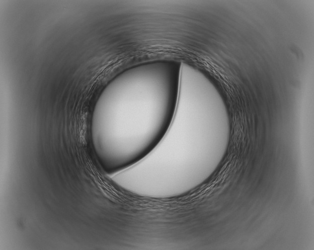 X0000113590868200909181046