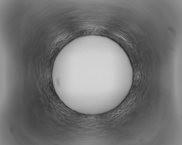 X0000113590869200909181046