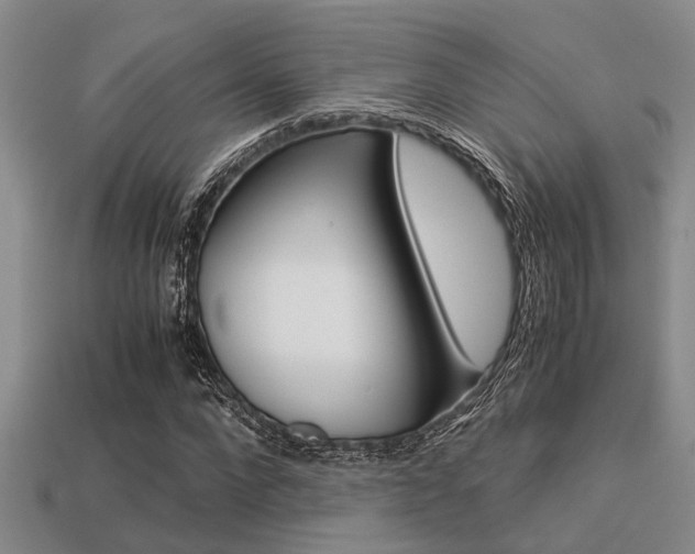 X0000113590872200909181046