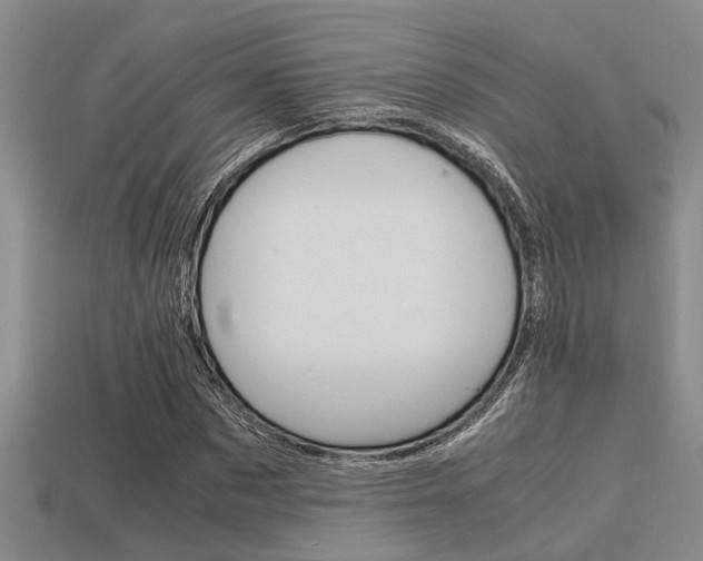 X0000113590873200909181046