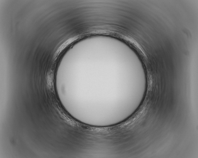 X0000113590874200909181046