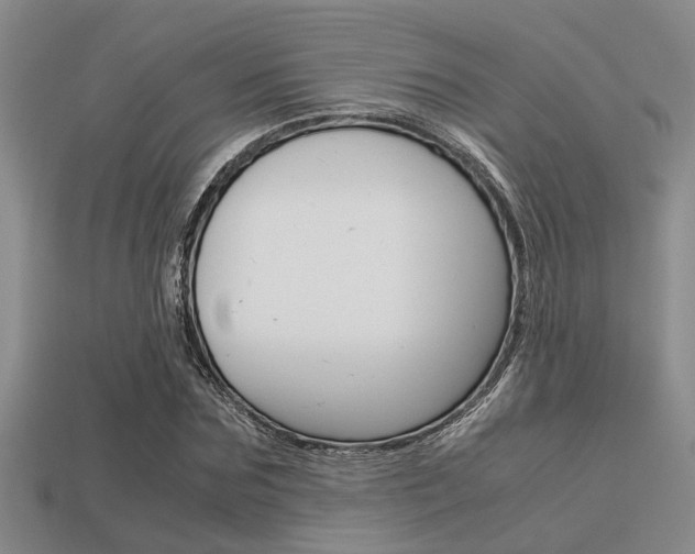 X0000113590875200909181046
