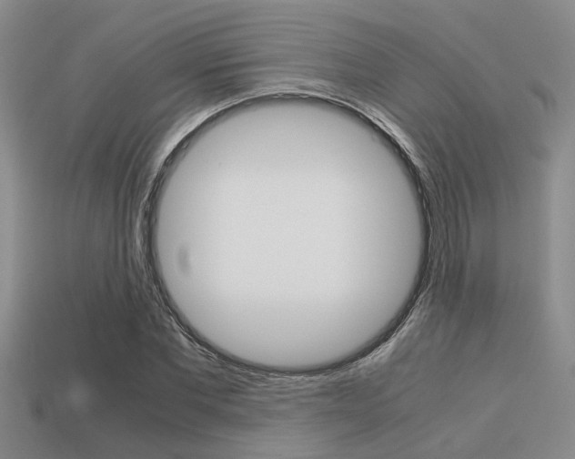 X0000113590877200909181046