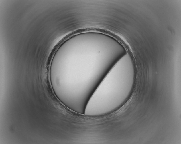 X0000113590879200909181046
