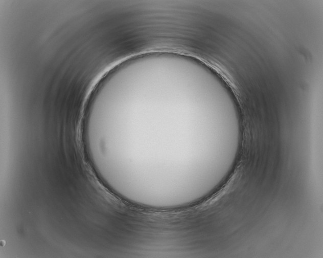 X0000113590880200909181046