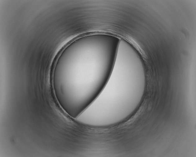 X0000113590884200909181046