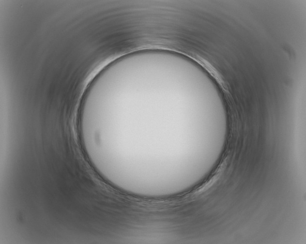 X0000113590885200909181046