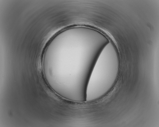 X0000113590887200909181046