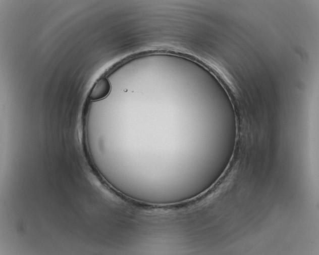 X0000113590888200909181046
