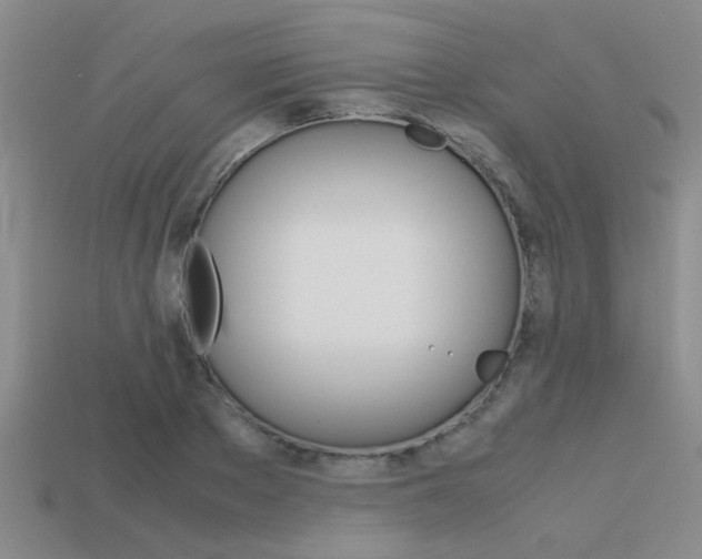 X0000113590889200909181046