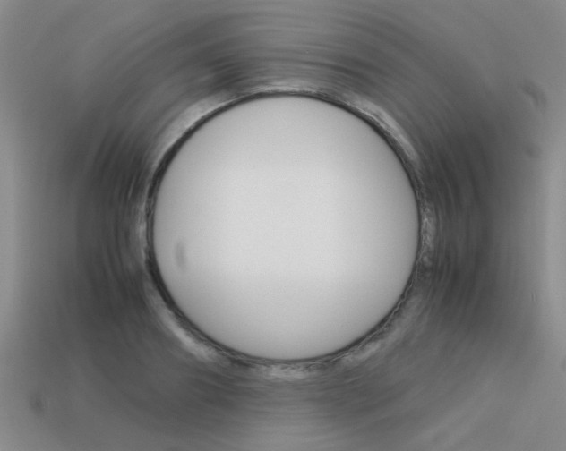 X0000113590890200909181046