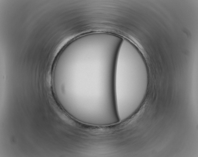 X0000113590891200909181046