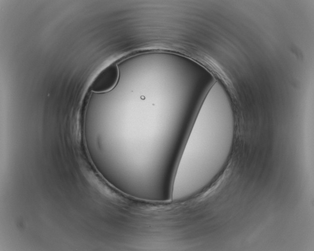 X0000113590892200909181046