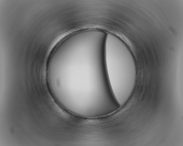 X0000113590894200909181046