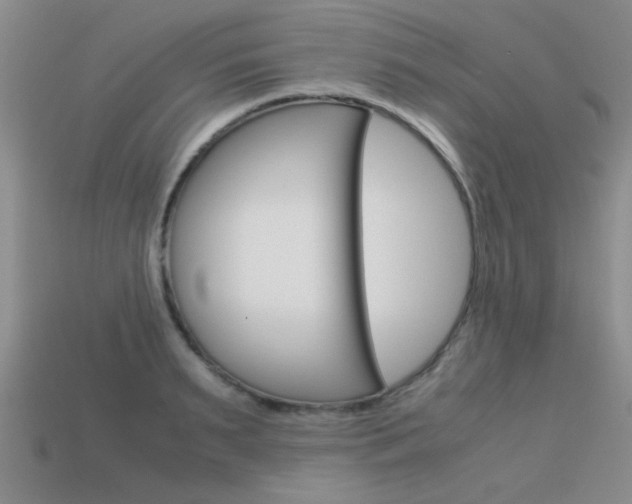 X0000113590895200909181046