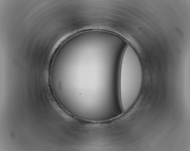 X0000113590896200909181046