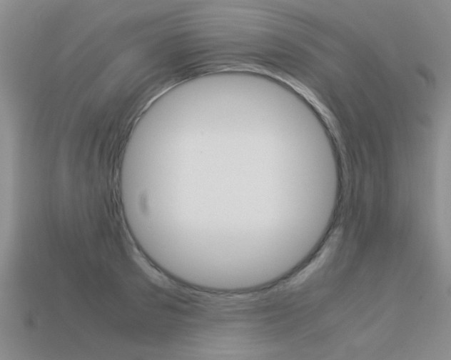 X0000113590897200909181046