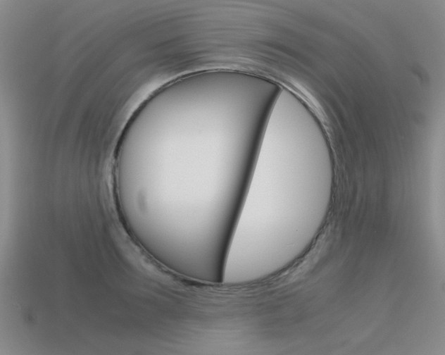 X0000113590899200909181045