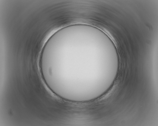 X0000113590901200909181045