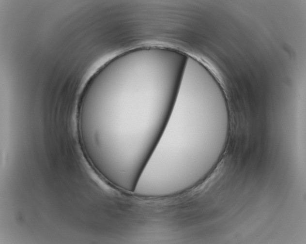 X0000113590902200909181045