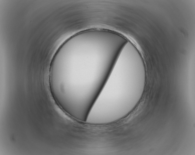 X0000113590903200909181045