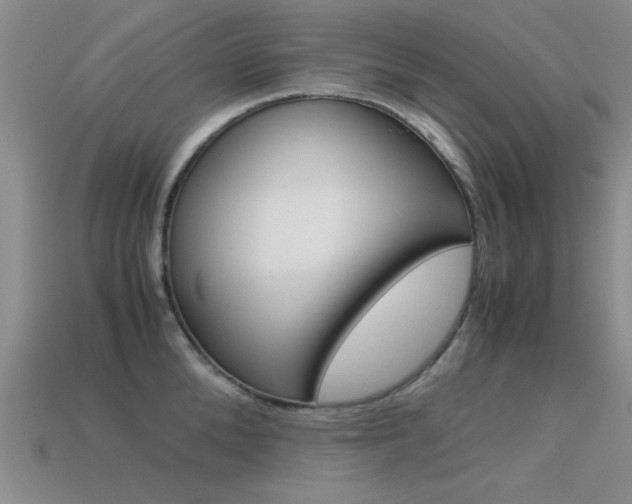 X0000113590904200909181045