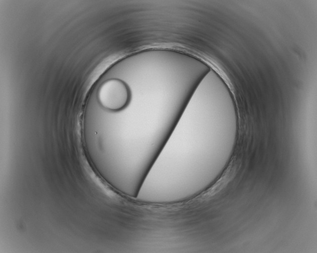 X0000113590906200909181045