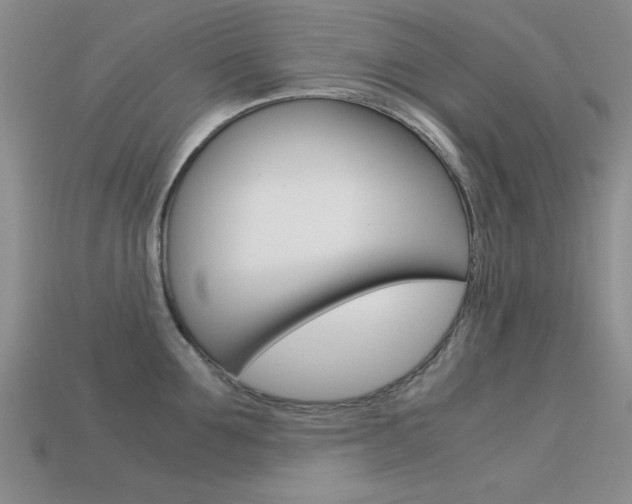 X0000113590907200909181045