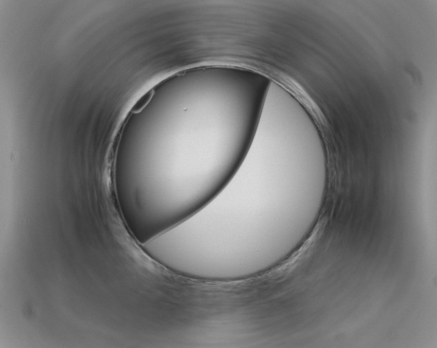 X0000113590908200909181045