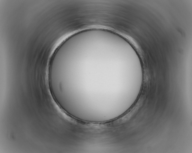 X0000113590910200909181045