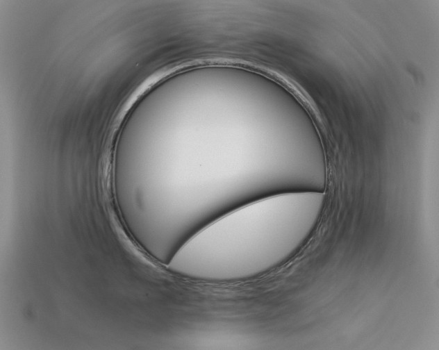 X0000113590911200909181045