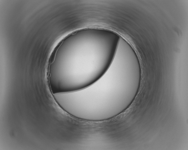 X0000113590912200909181045