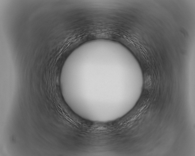 X0000113590913200909181045