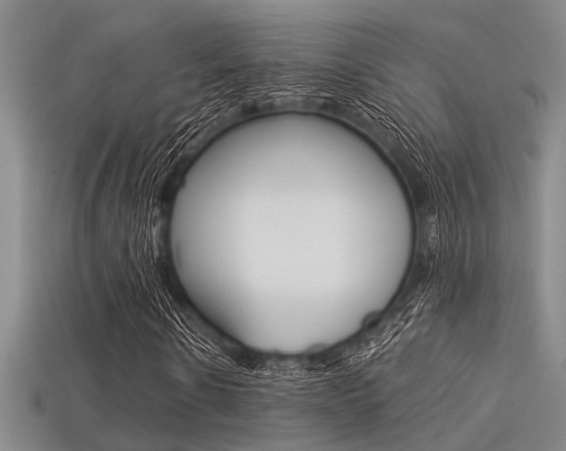 X0000113590914200909181045