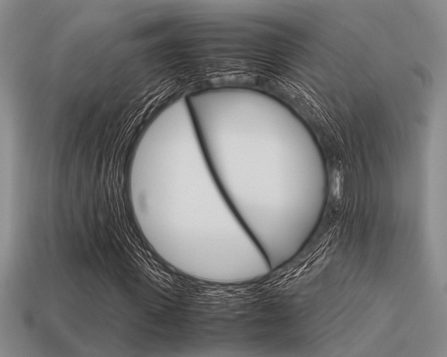 X0000113590915200909181045