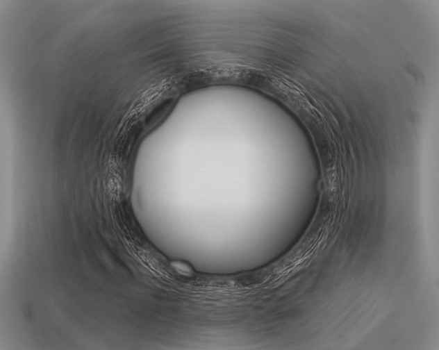 X0000113590916200909181045