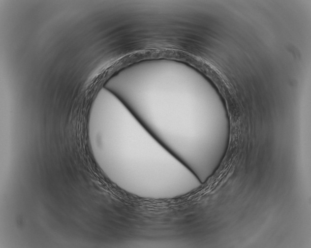 X0000113590919200909181045