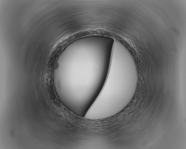 X0000113590920200909181045