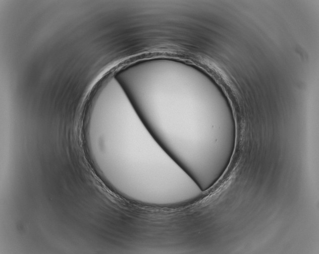 X0000113590923200909181045